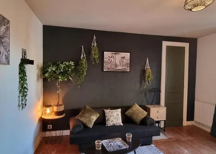 公寓 La K-meleon- Hyper Centre , 23 Couchages 勒芒